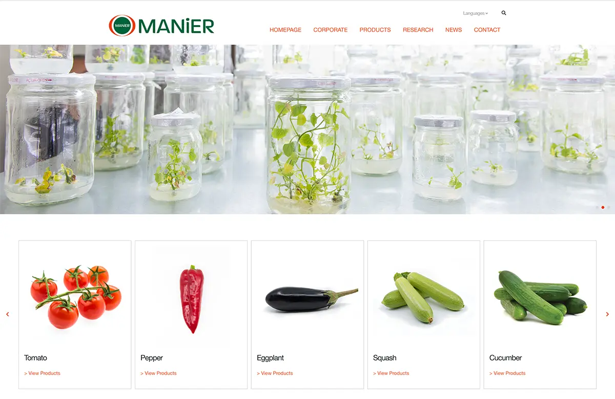 Manier Tohumculuk çok dilli web sitesi modern arayüzü